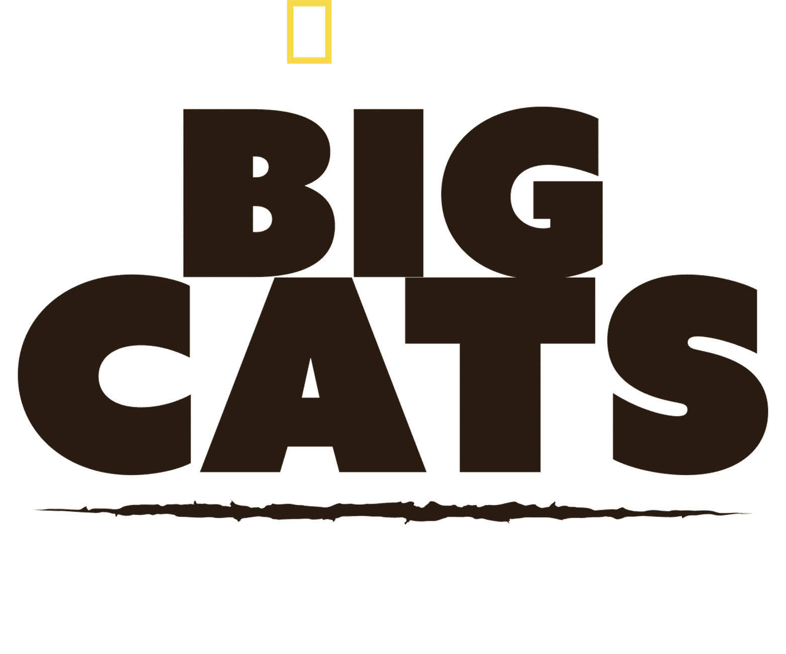 Big Cats: An Amazing Animal Family logo