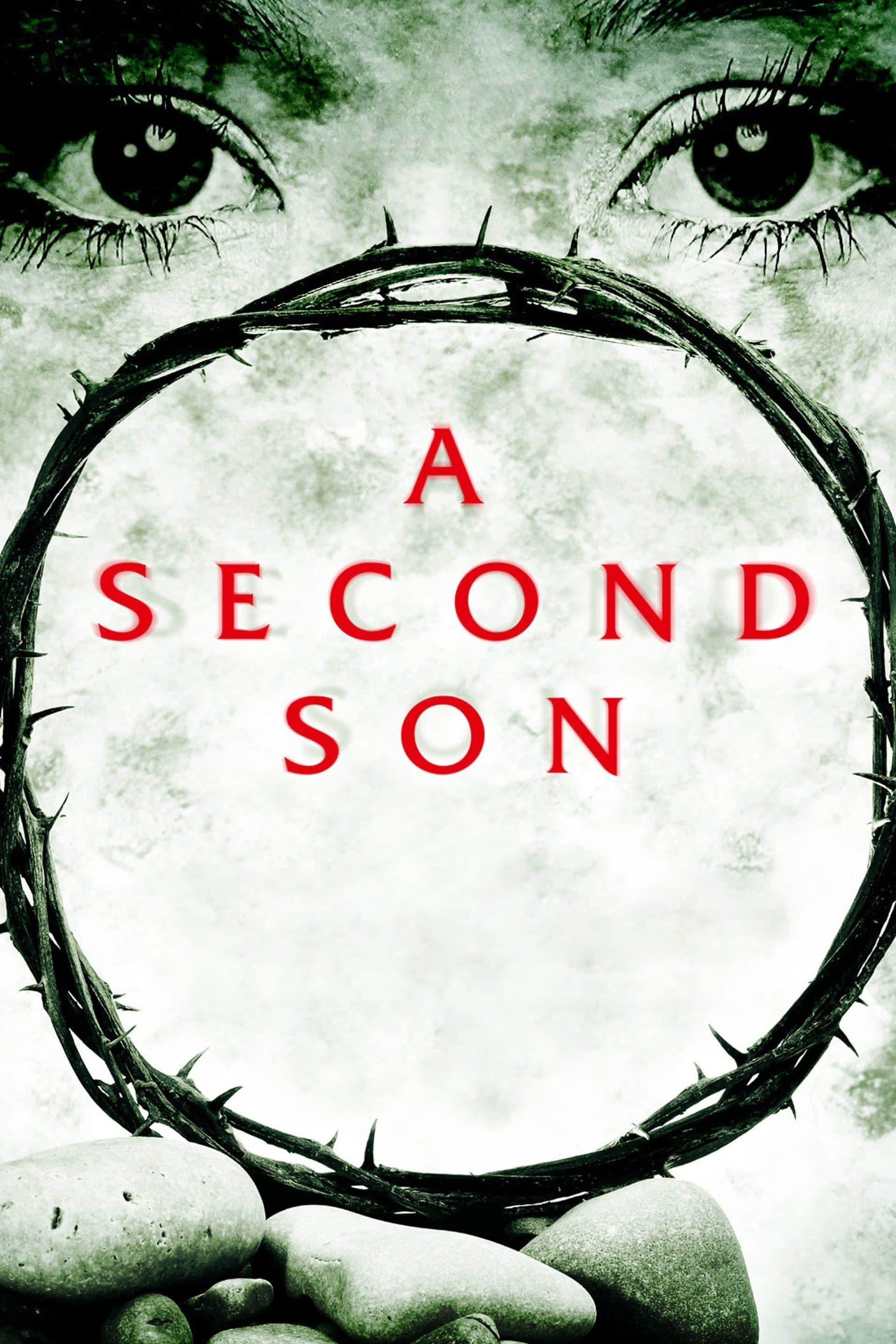 A Second Son poster