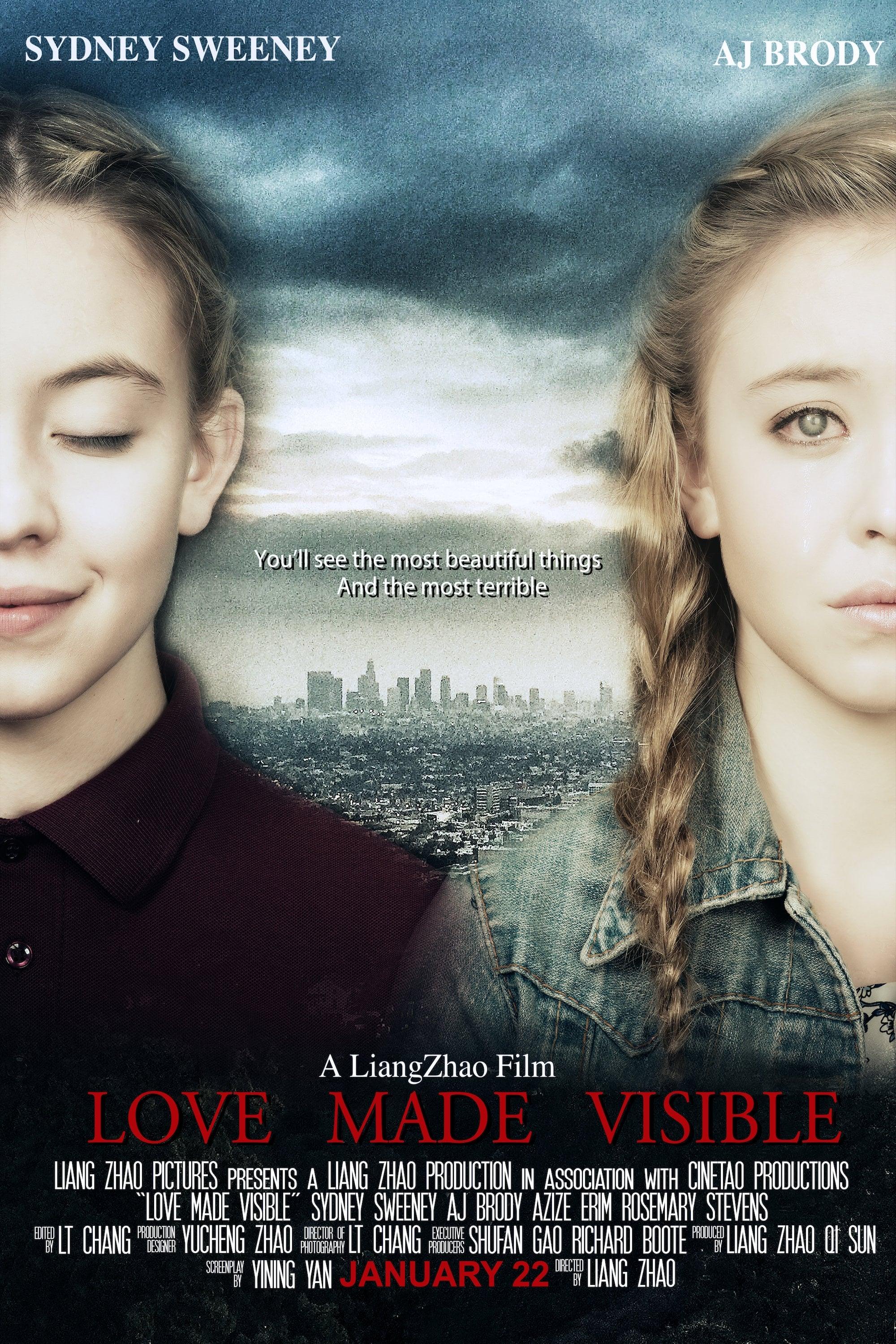Love Made Visible poster