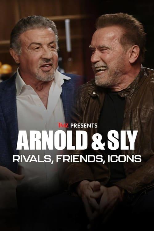 Arnold & Sly: Rivals, Friends, Icons poster