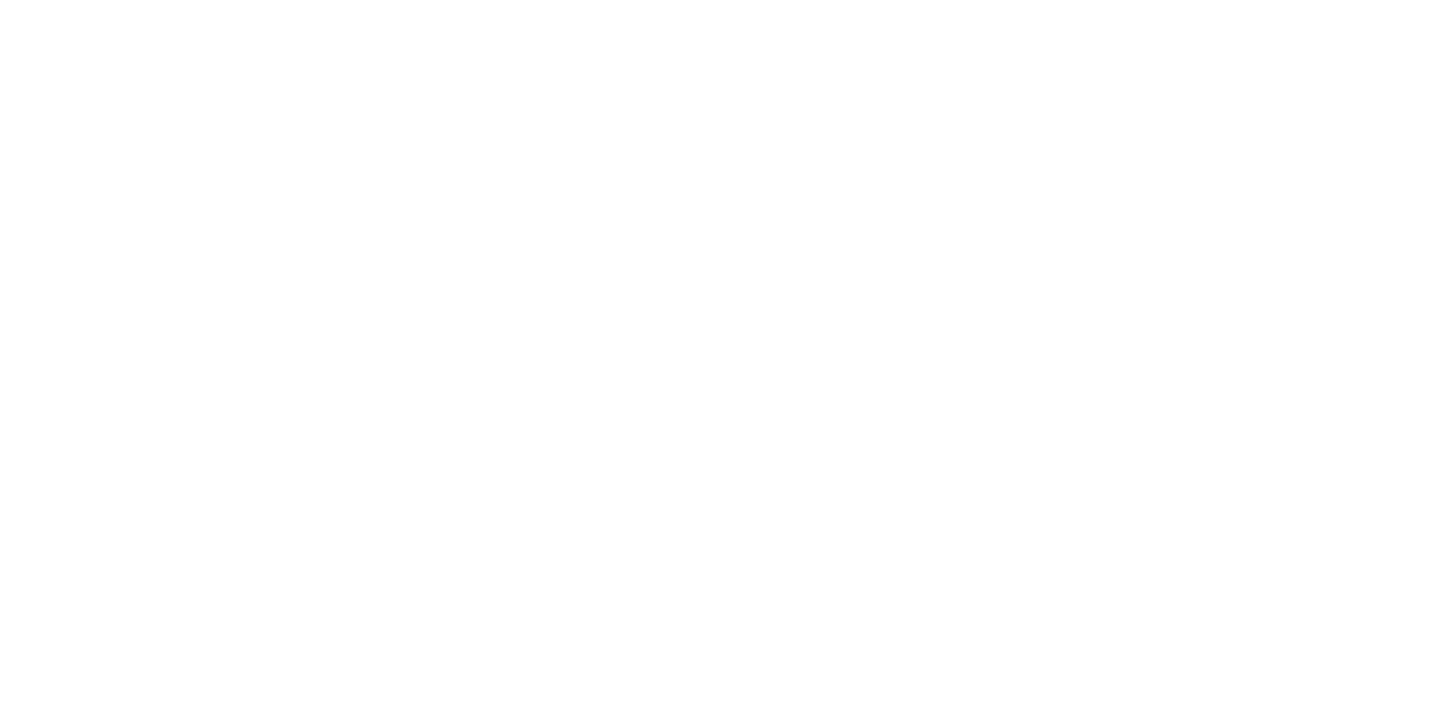 Love Without Borders logo