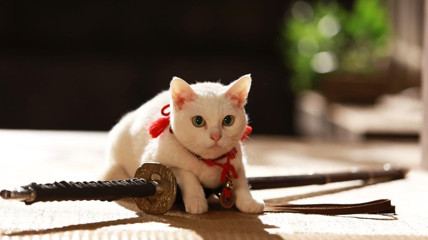 Samurai Cat 2: A Tropical Adventure backdrop