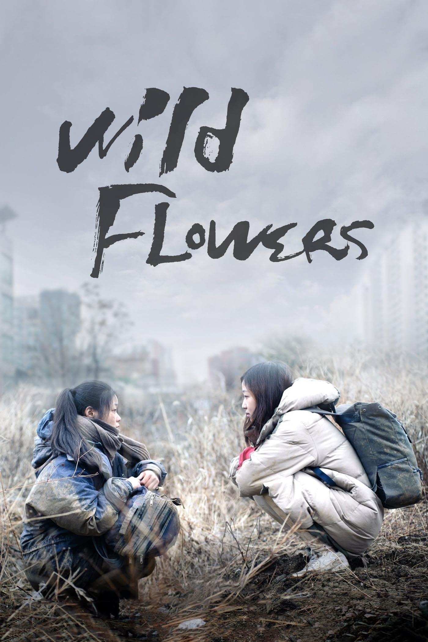 Wild Flowers poster