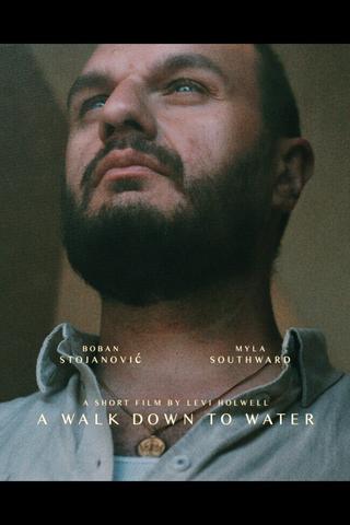 A Walk Down to Water poster