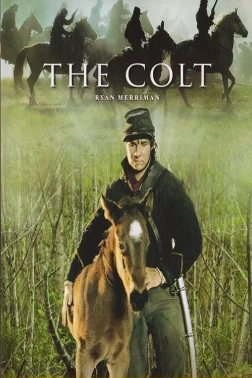 The Colt poster