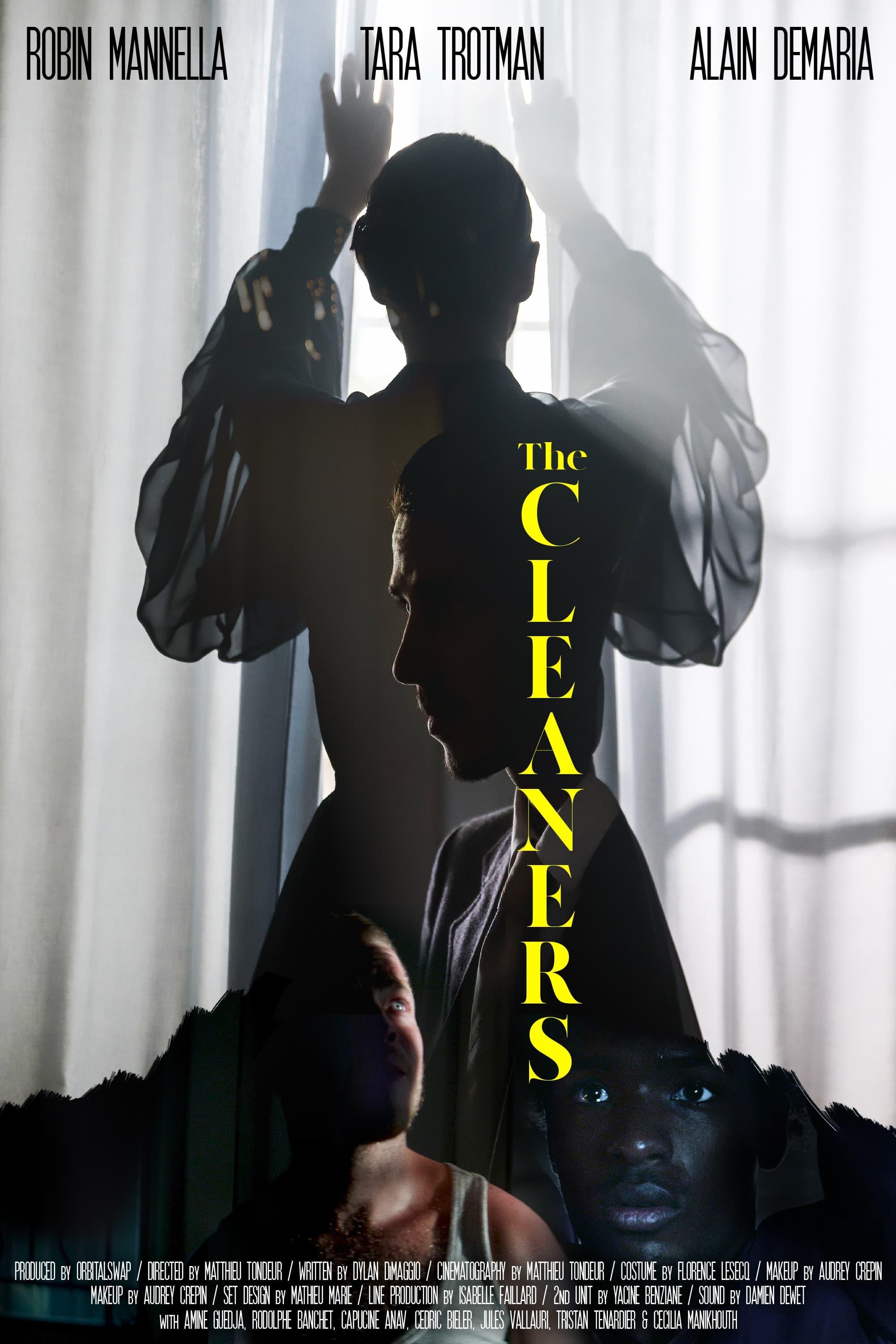 The Cleaners poster