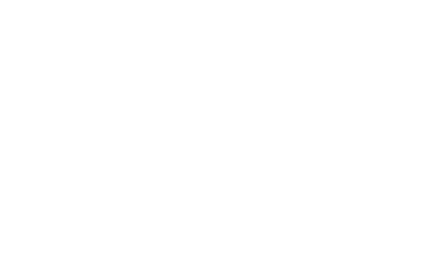 The Violin Player logo