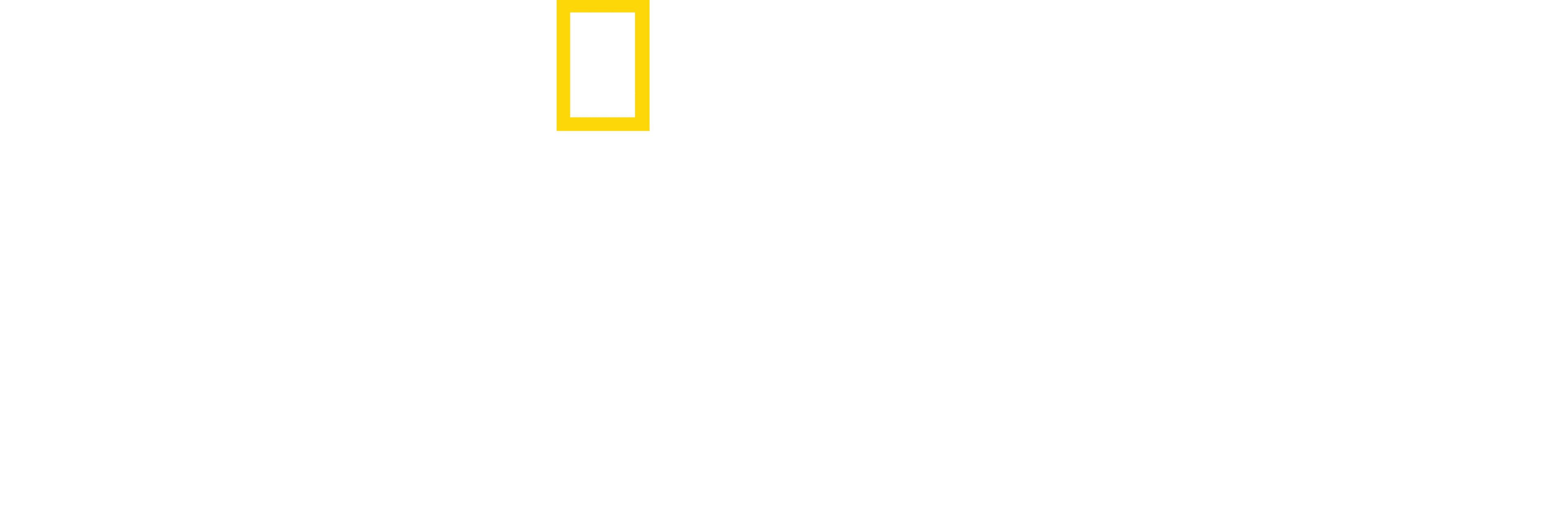 Latin America from Above logo