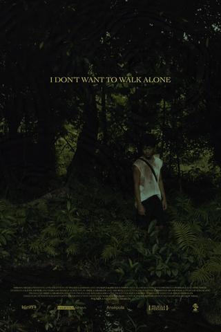 I Don't Want to Walk Alone poster