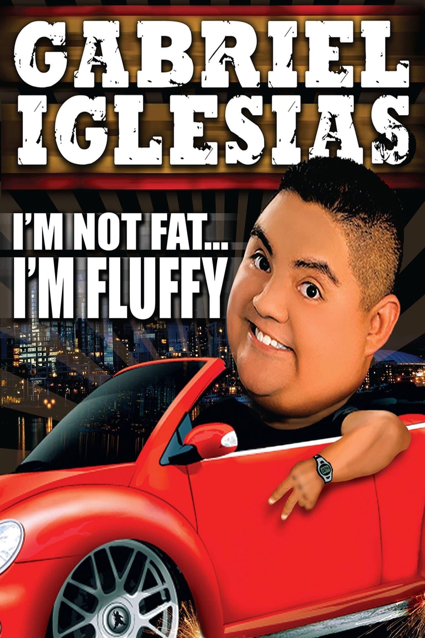 Gabriel Iglesias: I'm Not Fat... I'm Fluffy poster