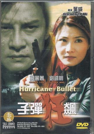 Hurricane Bullet poster