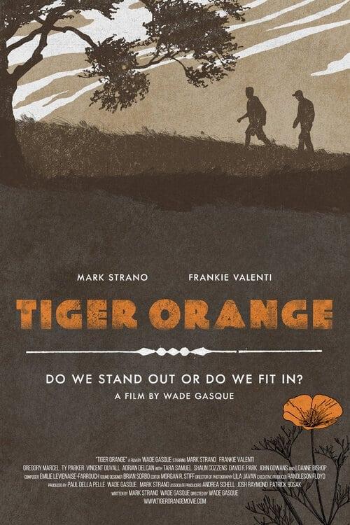 Tiger Orange poster