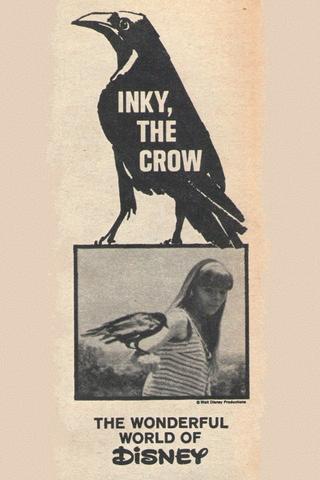 Inky, the Crow poster