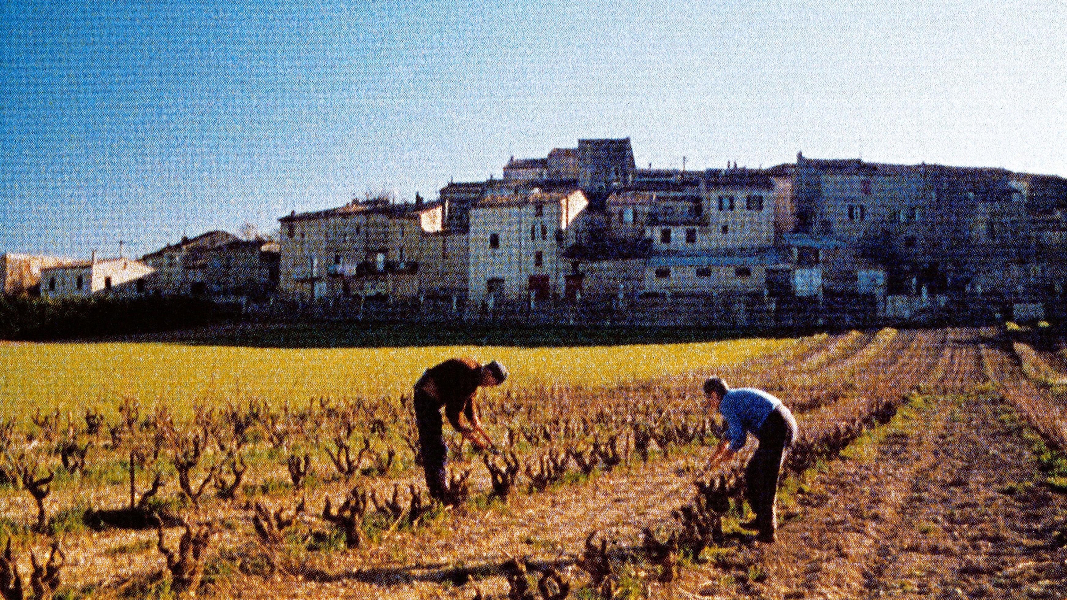 Les 4 saisons d'Espigoule backdrop