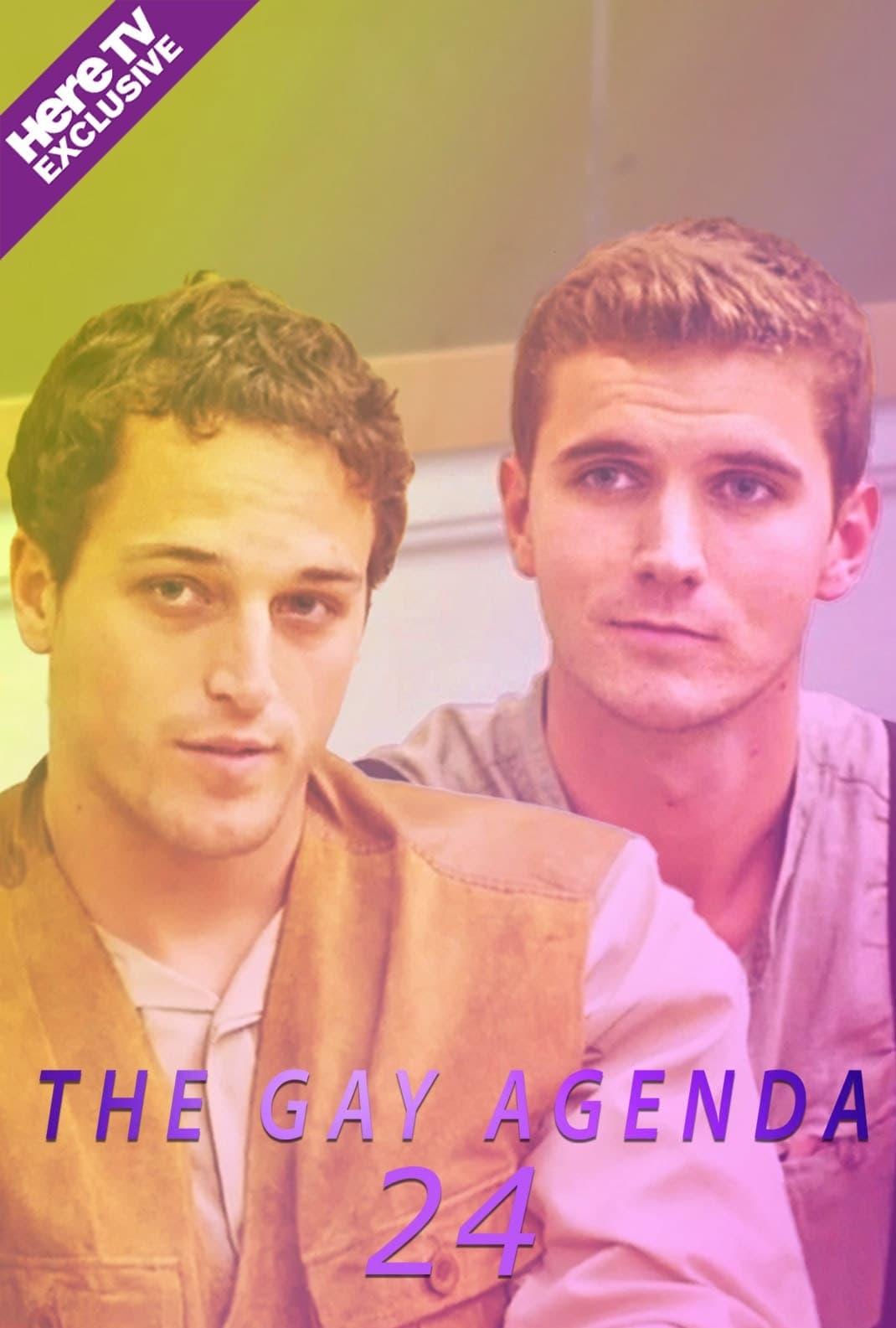 The Gay Agenda 24 poster