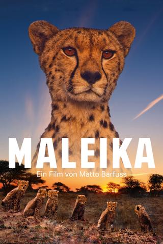 Maleika poster