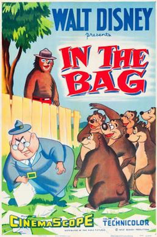 In the Bag poster