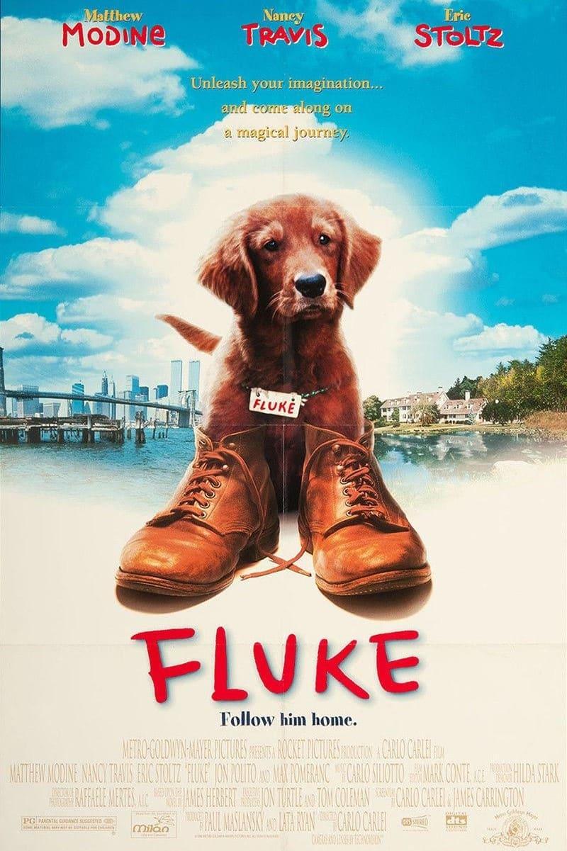 Fluke poster