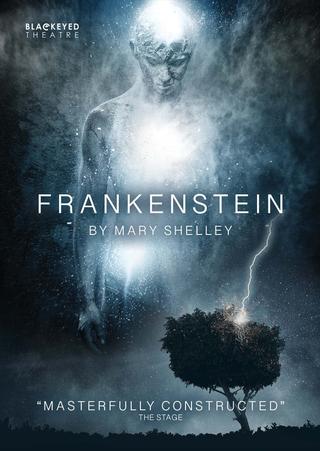 Frankenstein poster