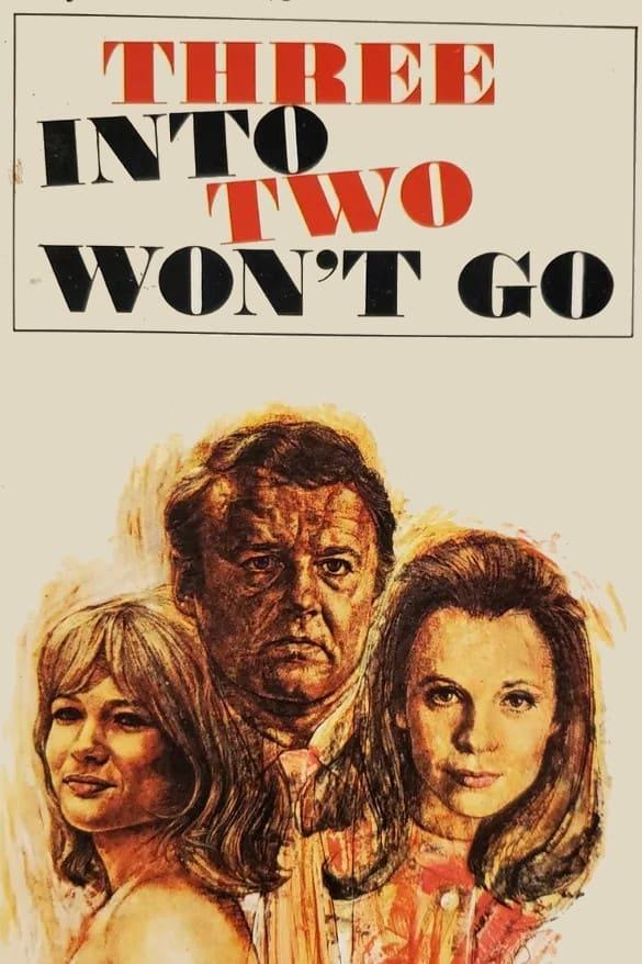 3 Into 2 Won't Go poster