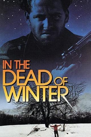 In The Dead Of Winter poster