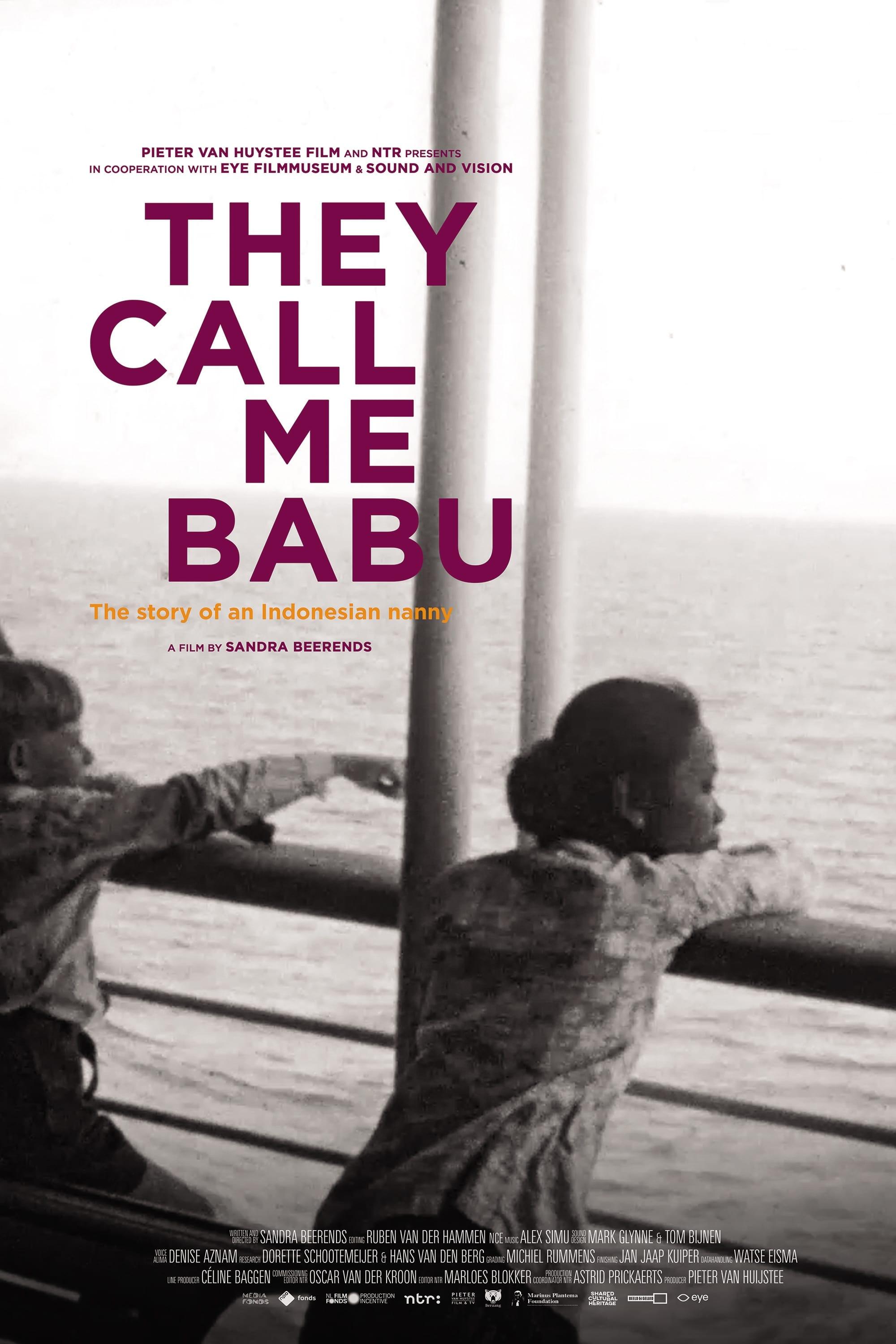 They Call Me Babu poster