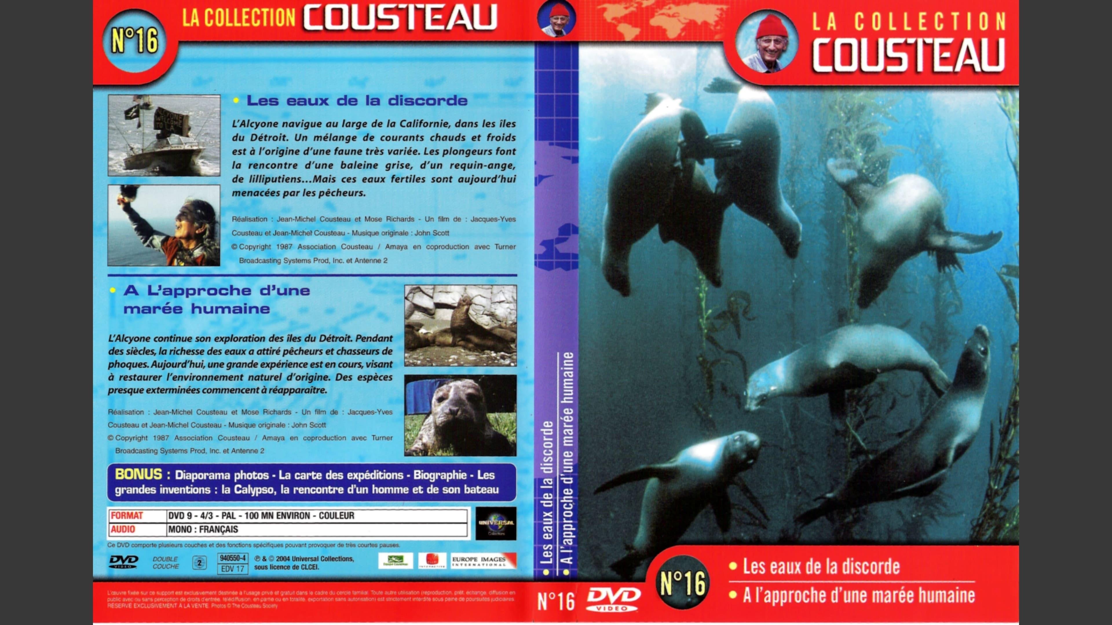 The Cousteau Collection N°16-1 | Strait Islands: The Waters of Discord backdrop