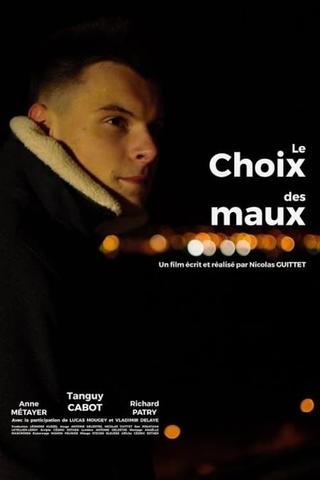 Le choix des maux poster