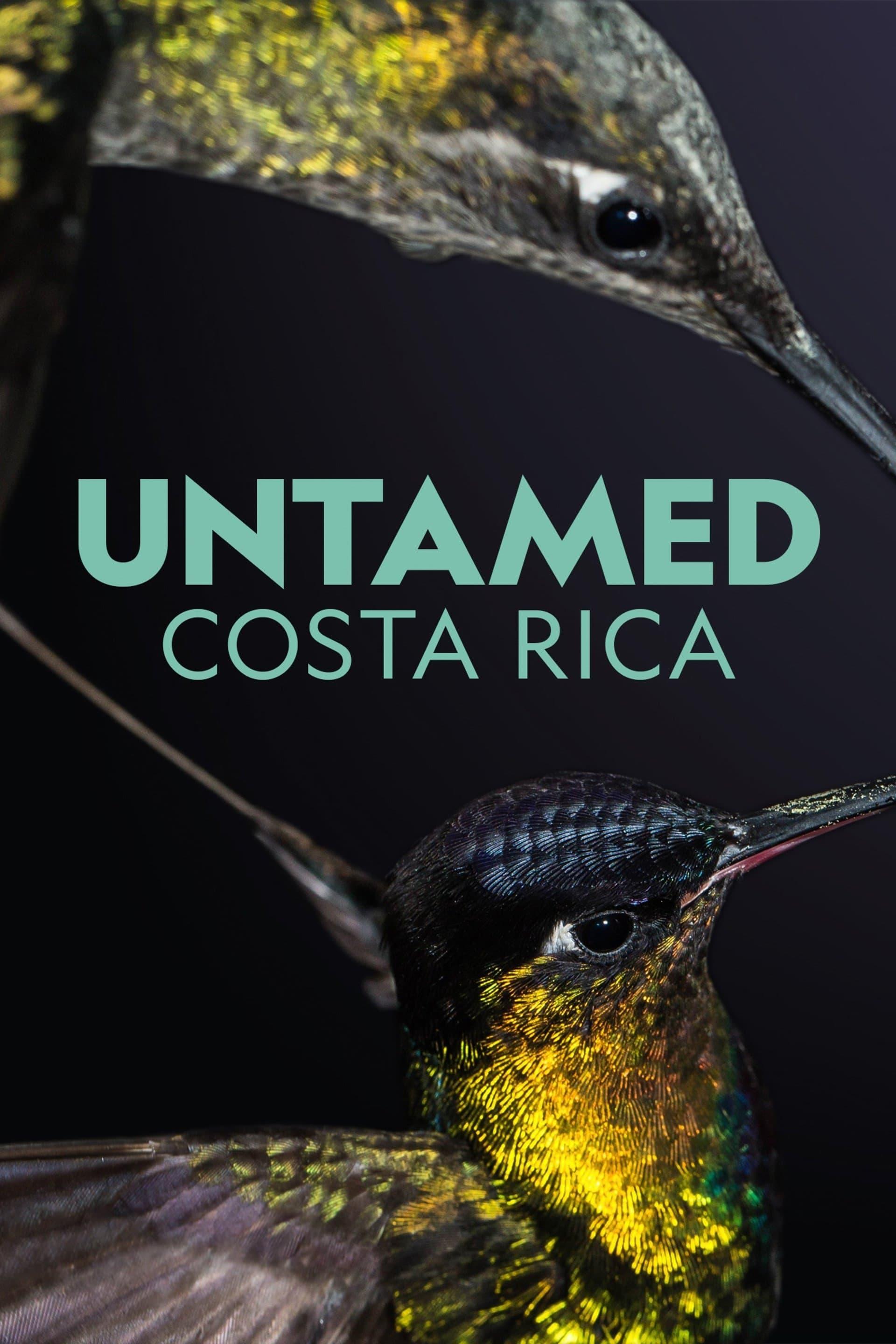 Untamed Costa Rica with Filipe DeAndrade poster