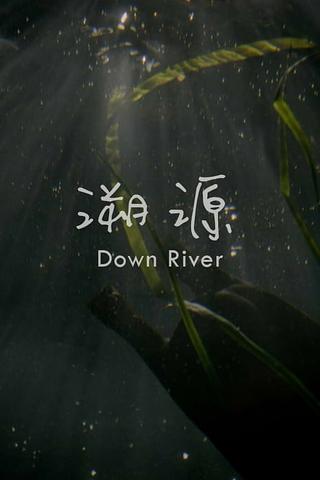 Down River poster