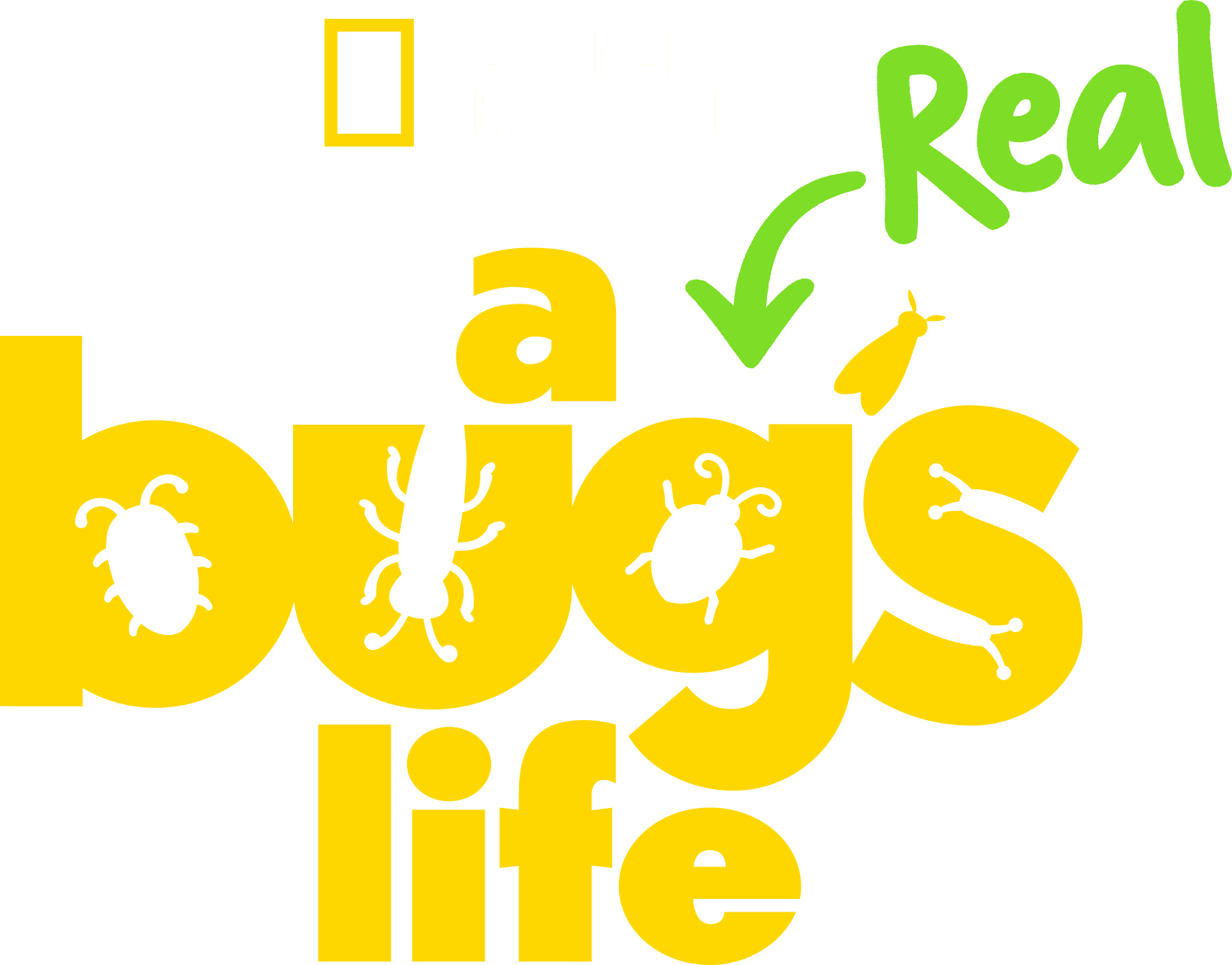 A Real Bug's Life logo