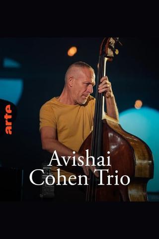 Avishai Cohen Trio – Shifting sands poster