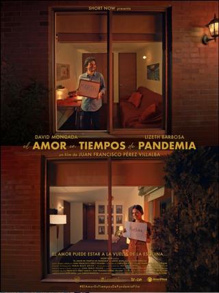 El Amor en Tiempos de Pandemia poster