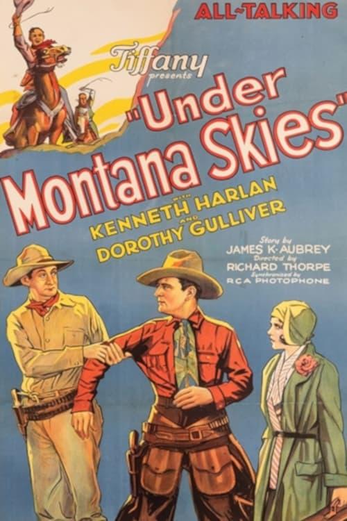 Under Montana Skies poster