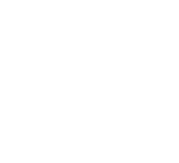 The Raging Moon logo