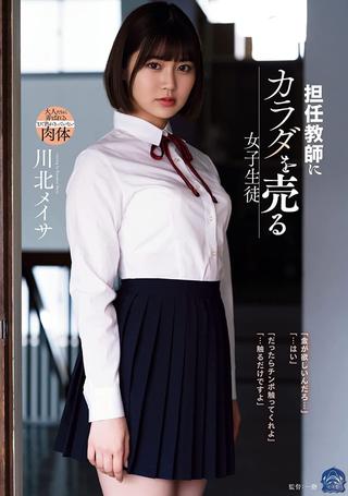 Female student selling her body to her homeroom teacher Meisa Kawakita poster