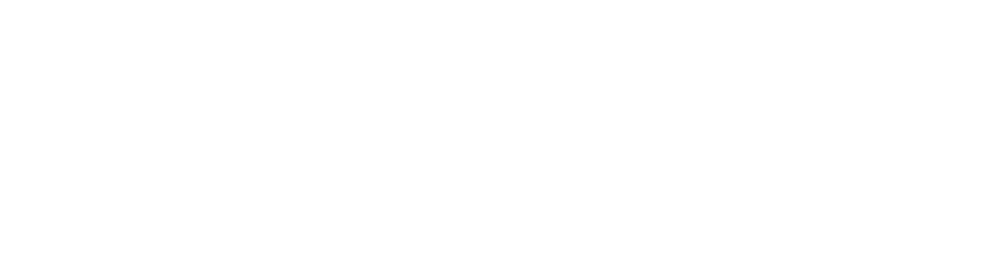 Stone House Revival logo