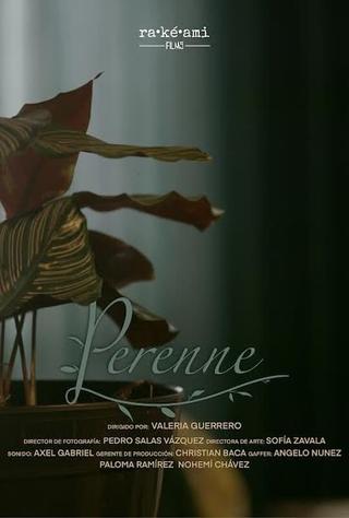 Perenne poster