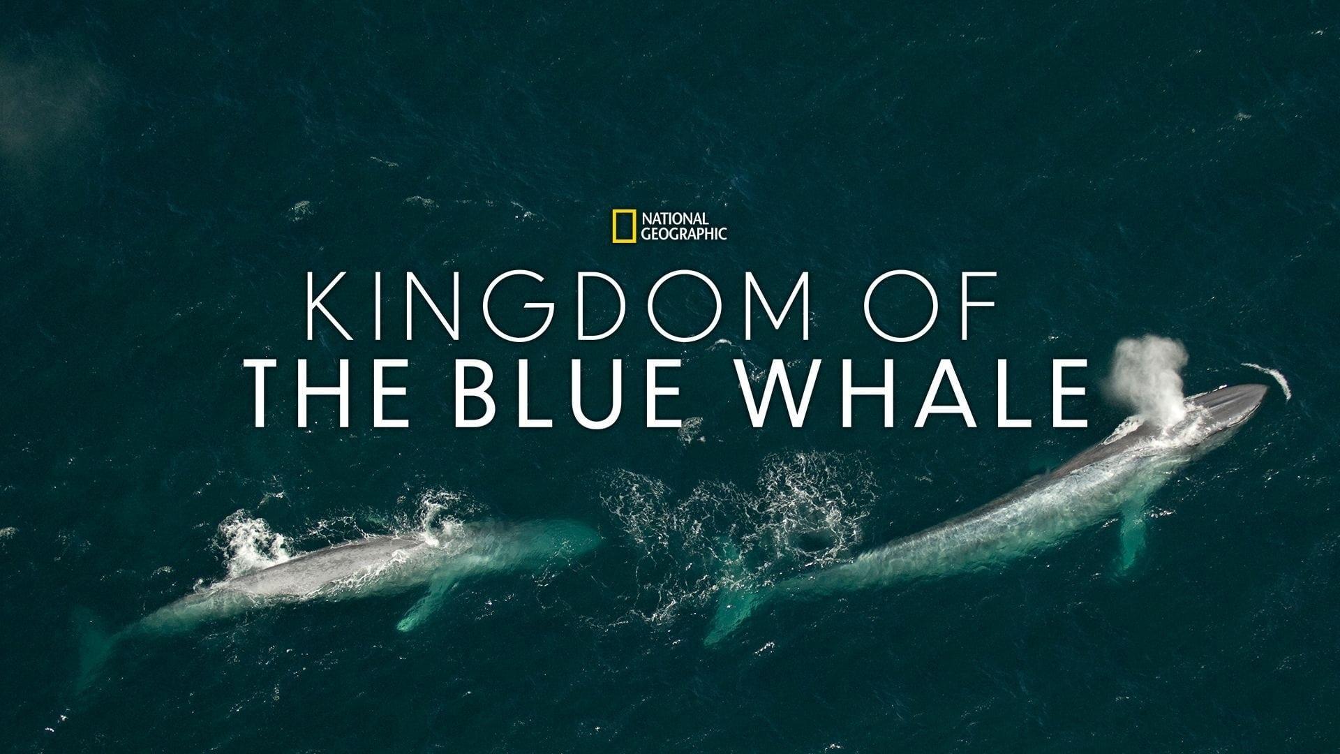 Kingdom of the Blue Whale backdrop