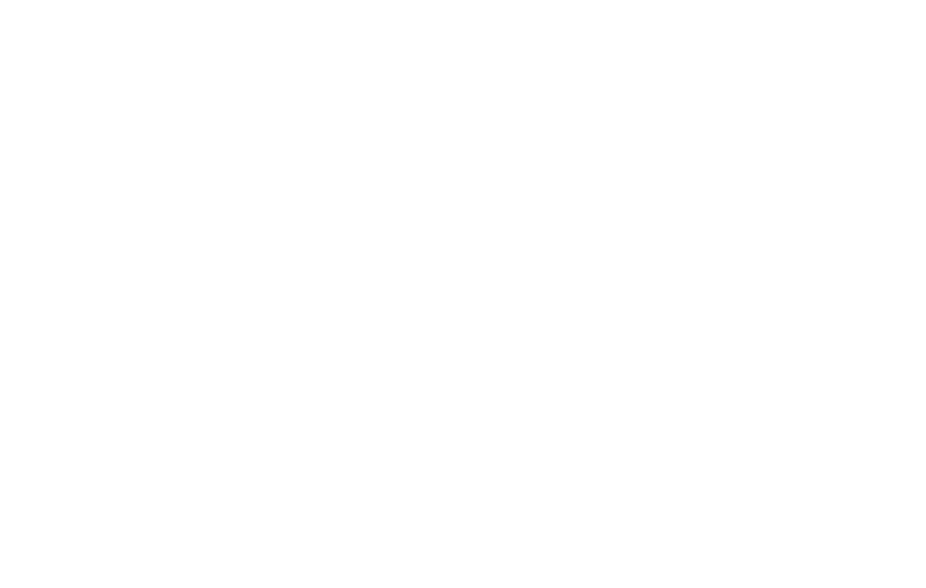 Love and Fury logo