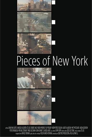 Pieces of New York poster