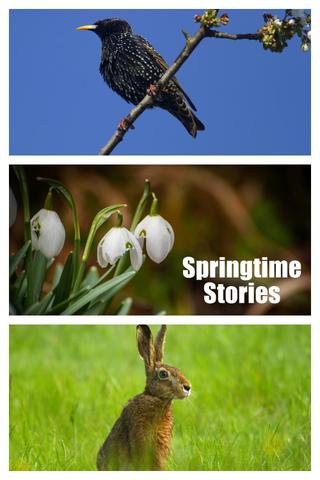 Springtime Stories poster