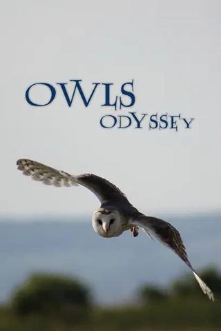 Owl's Odyssey poster