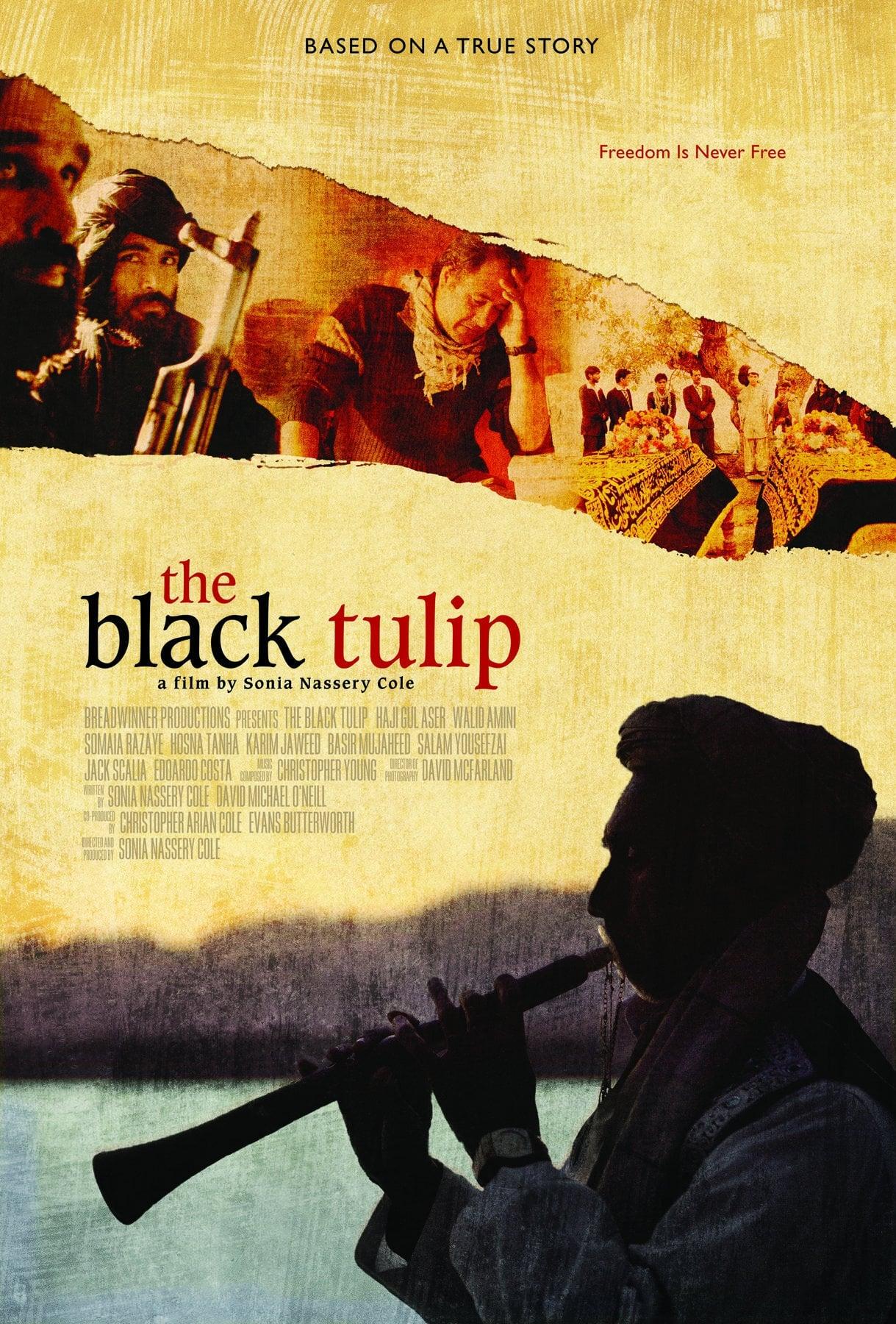 The Black Tulip poster