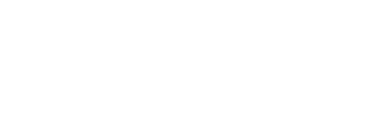 The Art of Passion logo