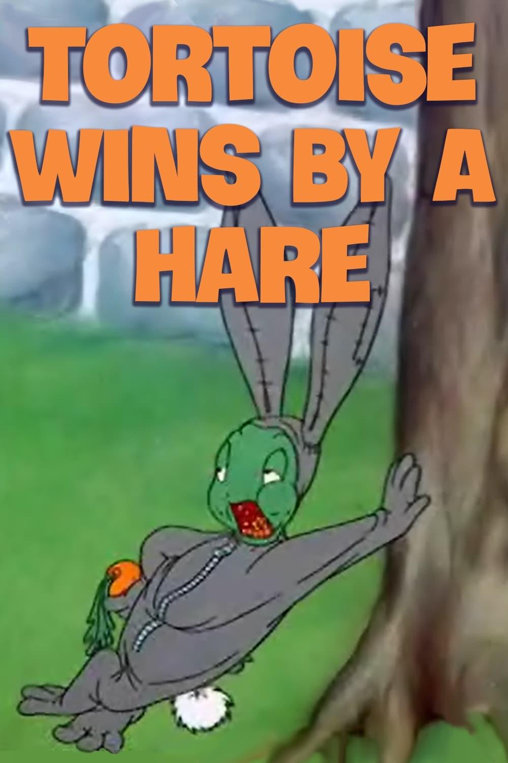 Tortoise Wins by a Hare poster