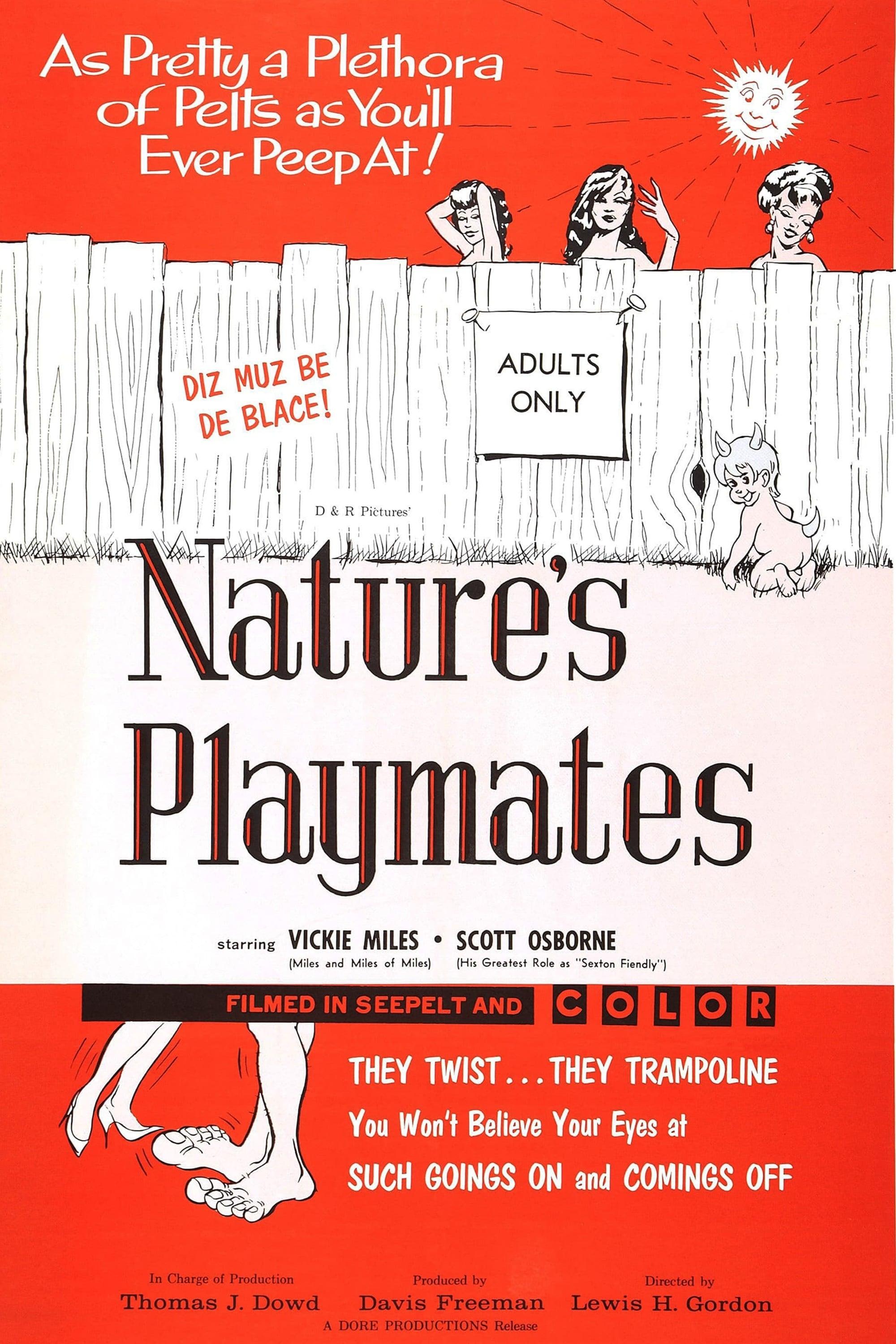 Nature's Playmates poster