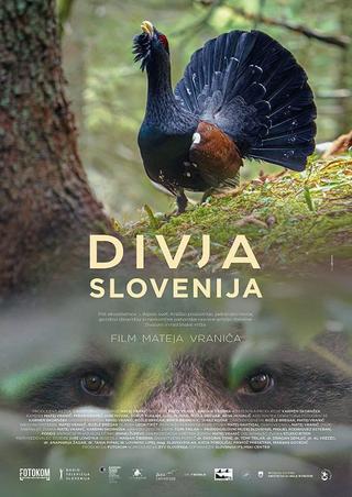 Wild Slovenia poster