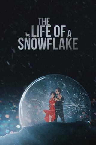 The Life of a Snowflake poster