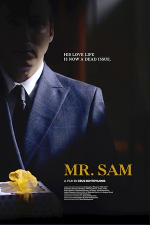 Mr. Sam poster